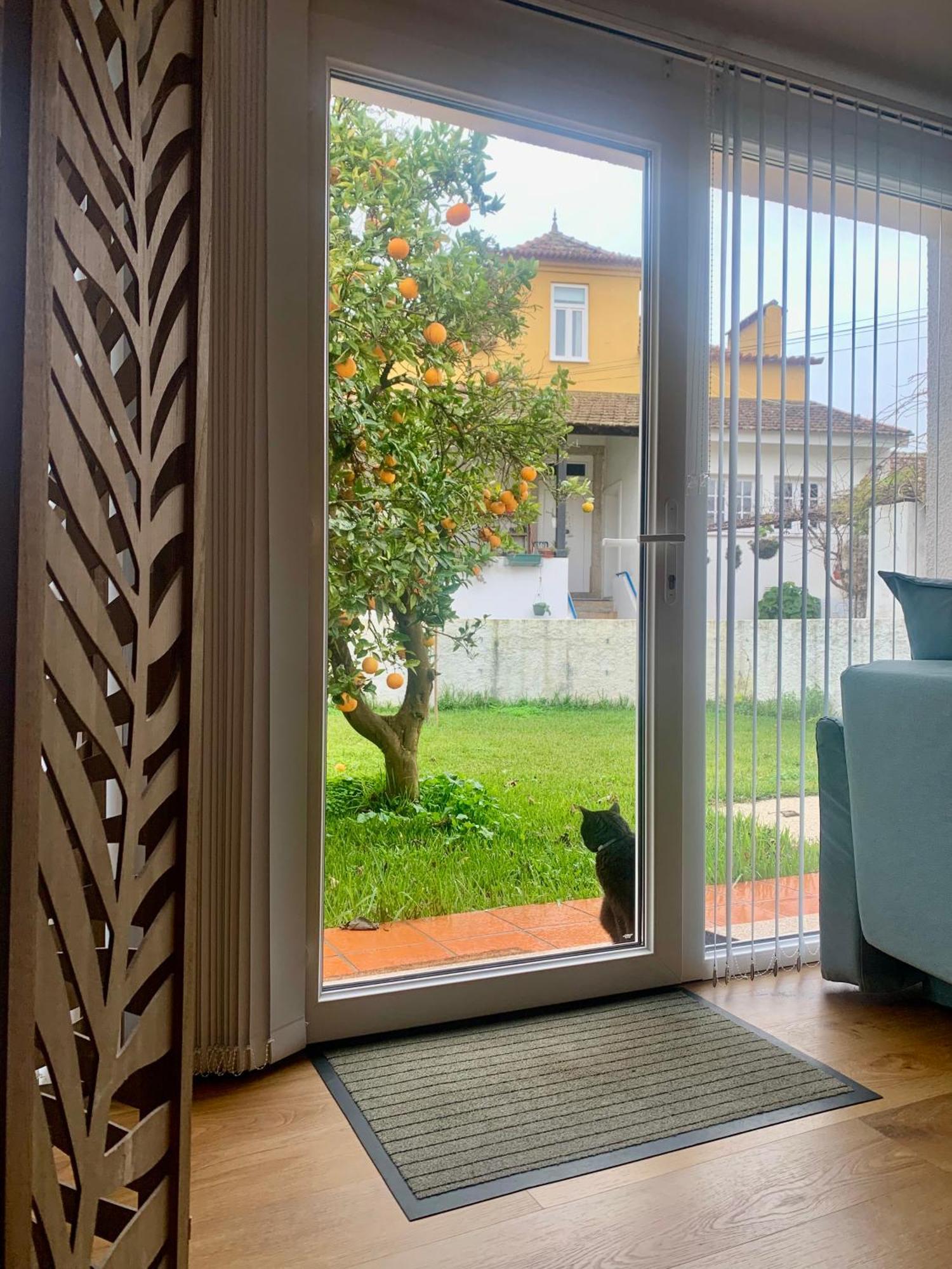 Casa Do Paco Aveiro Studio&Rooms ภายนอก รูปภาพ