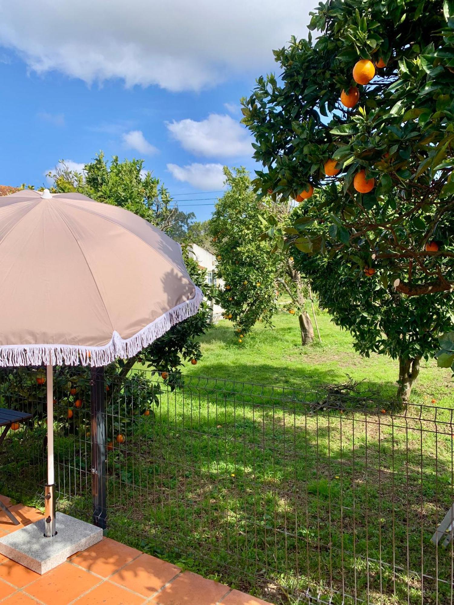 Casa Do Paco Aveiro Studio&Rooms ห้อง รูปภาพ