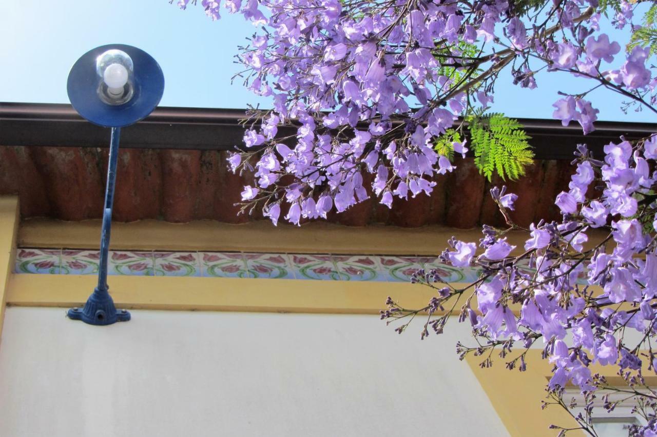 Casa Do Paco Aveiro Studio&Rooms ภายนอก รูปภาพ